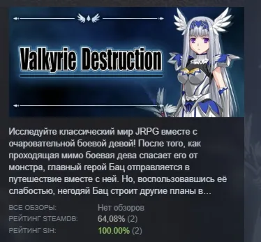 Valkyrie Destruction АВТОДОСТАВКА STEAM РОССИЯ
