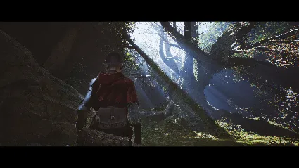 1348 Ex Voto: Deluxe Edition - STEAM GIFT РОССИЯ