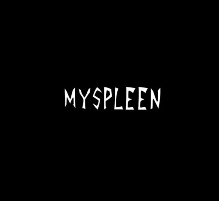 Лицензионный аккаунт MySpleen на 1-3 месяца