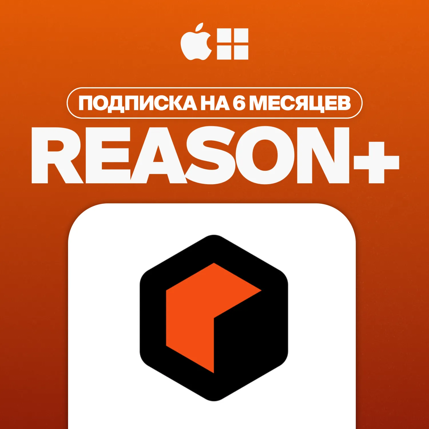 REASON+ [6 МЕСЯЦЕВ] | НА ВАШ АККАУНТ
