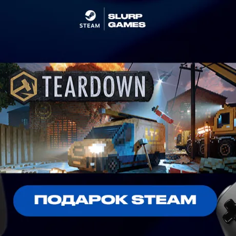Teardown STEAM GIFT