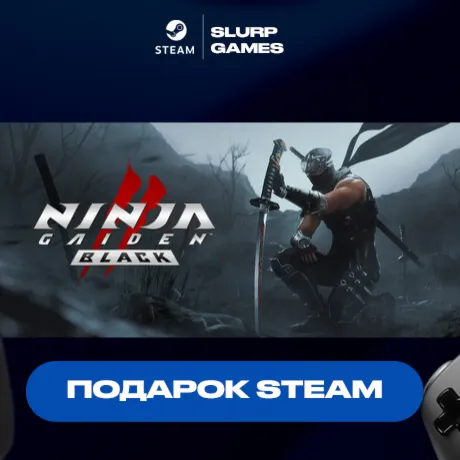 NINJA GAIDEN 2 Black STEAM GIFT