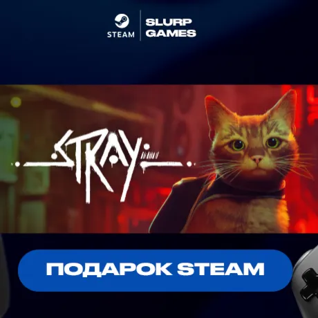 Stray STEAM GIFT