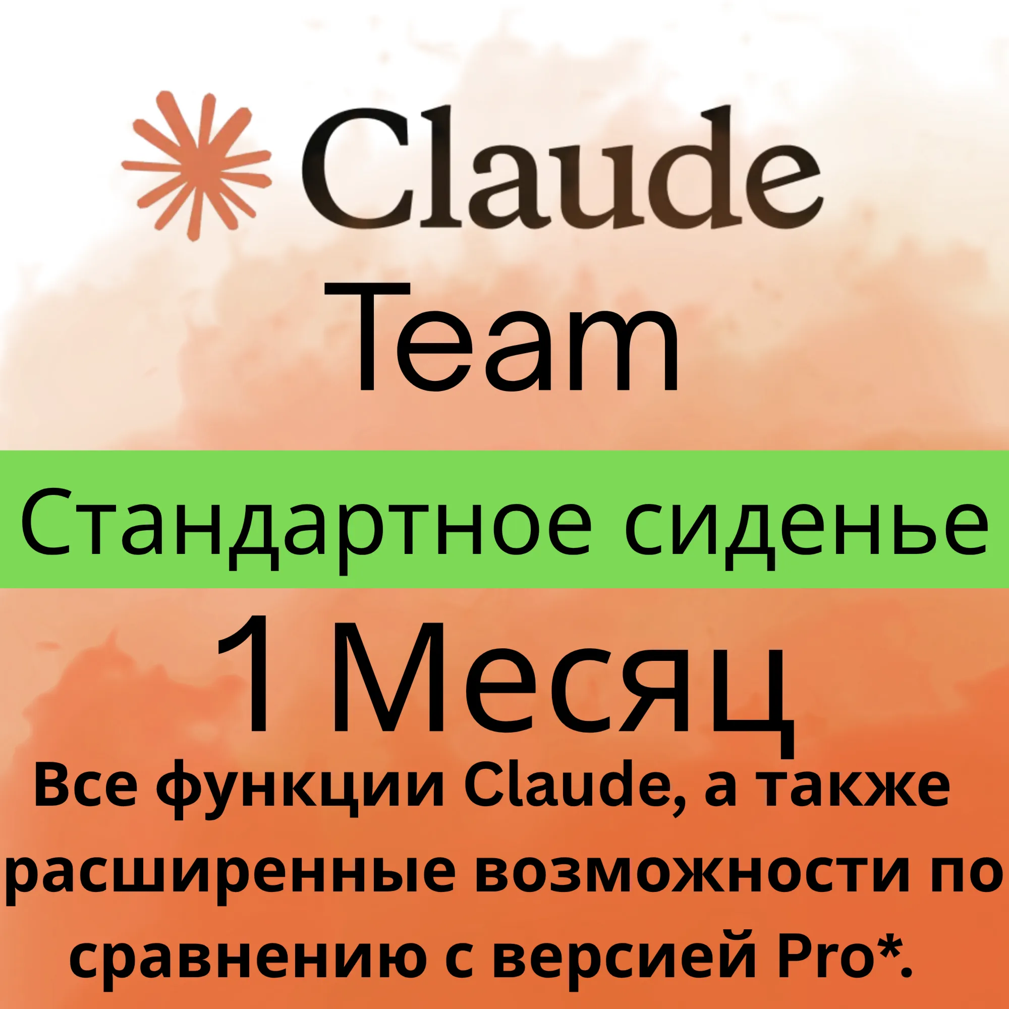 Claude AI Команда - Стандартное сиденье - Личный аккаунт