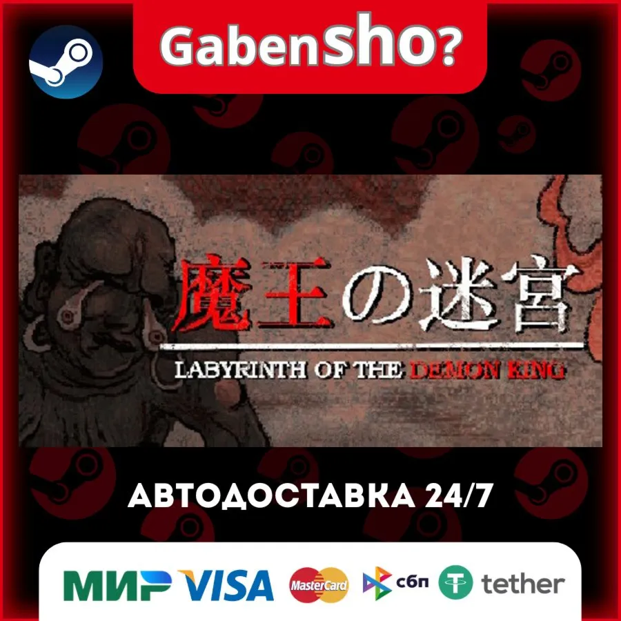Labyrinth Of The Demon King СТИМ Steam Gift
