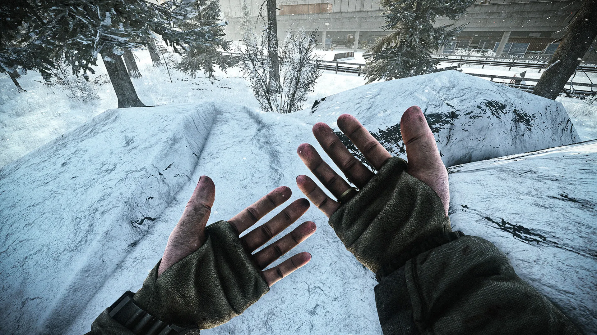 Escape from Tarkov: BEAR - Senezh (Steam Gift Россия)