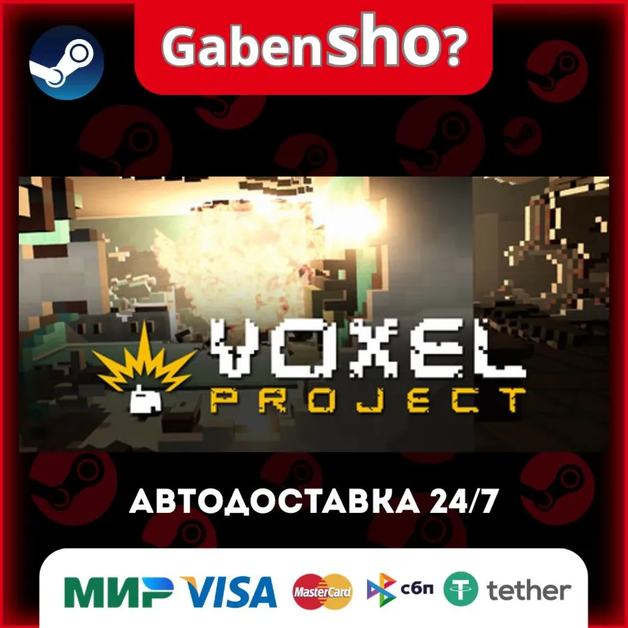 Voxel Project VR СТИМ Steam Gift