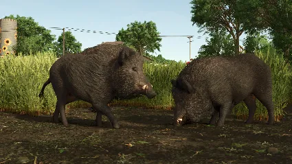 Farming Simulator 25 - Vredo Pack DLC PRE-ORDER Steam КЛЮЧ