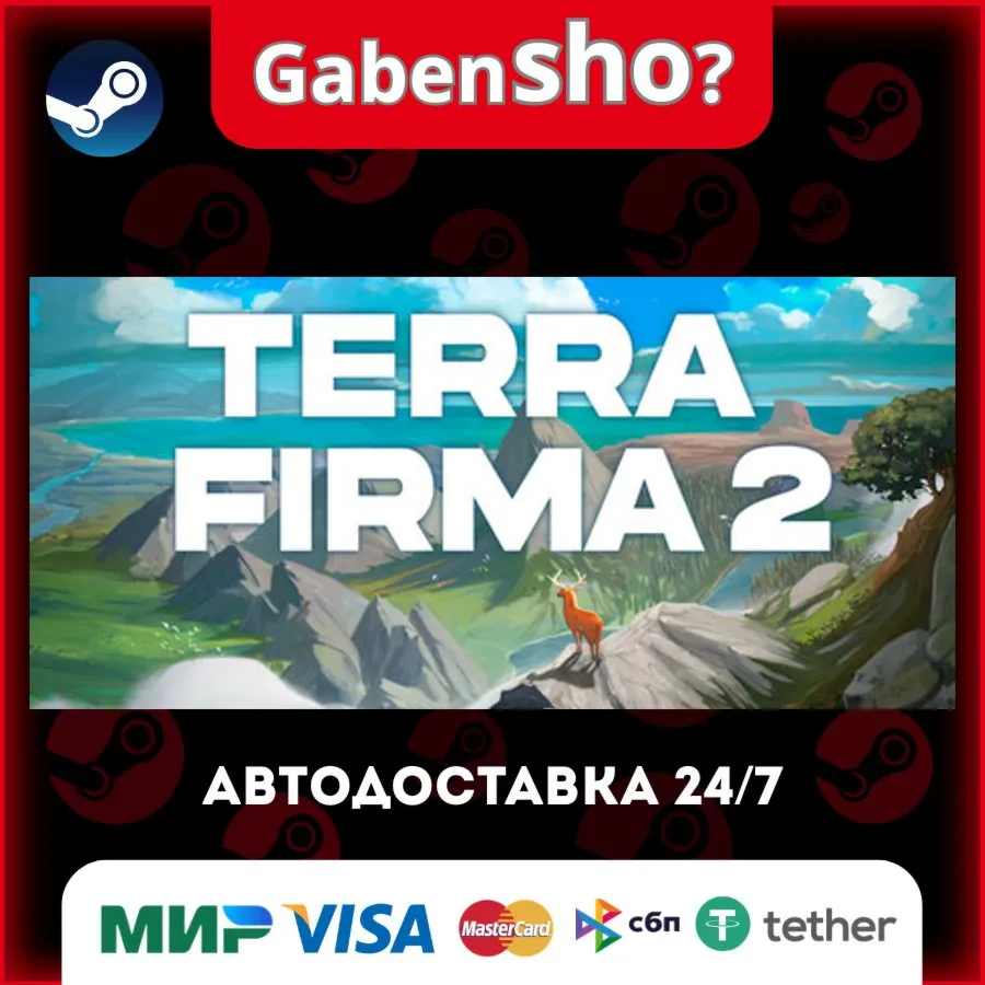 Terra Firma 2 СТИМ Steam Gift