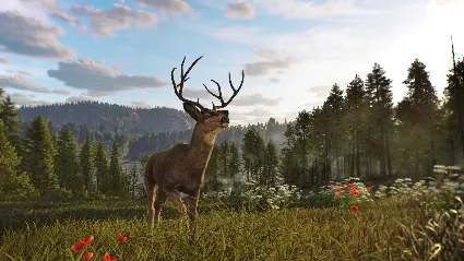 Way of the Hunter 2 АВТОДОСТАВКА STEAM РОССИЯ