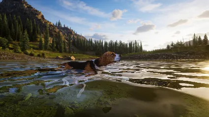 Way of the Hunter 2 * STEAM RU*KZ*UA*СНГ 🔥