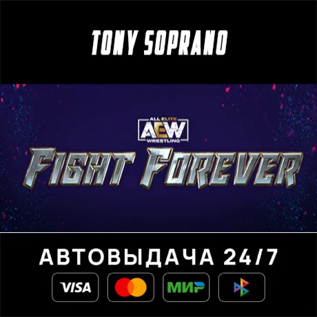 AEW: Fight Forever STEAM GIFT