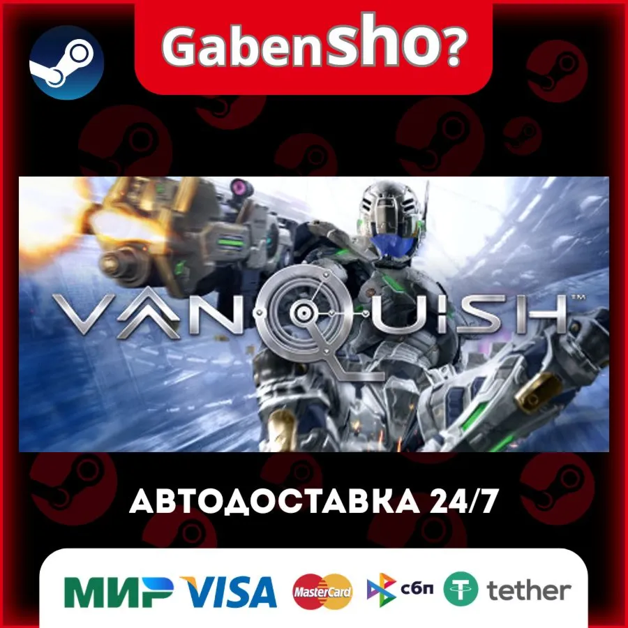 Vanquish СТИМ Steam Gift