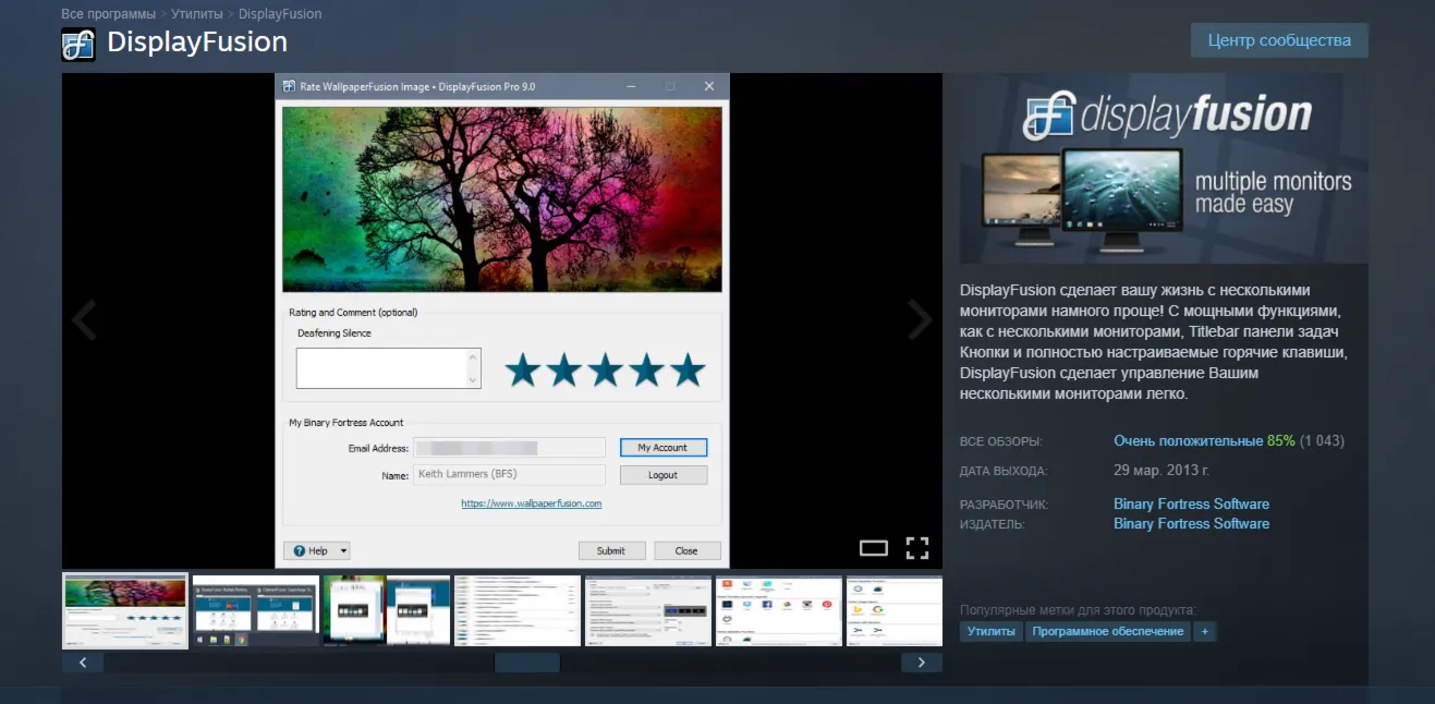 DisplayFusion Steam Gift