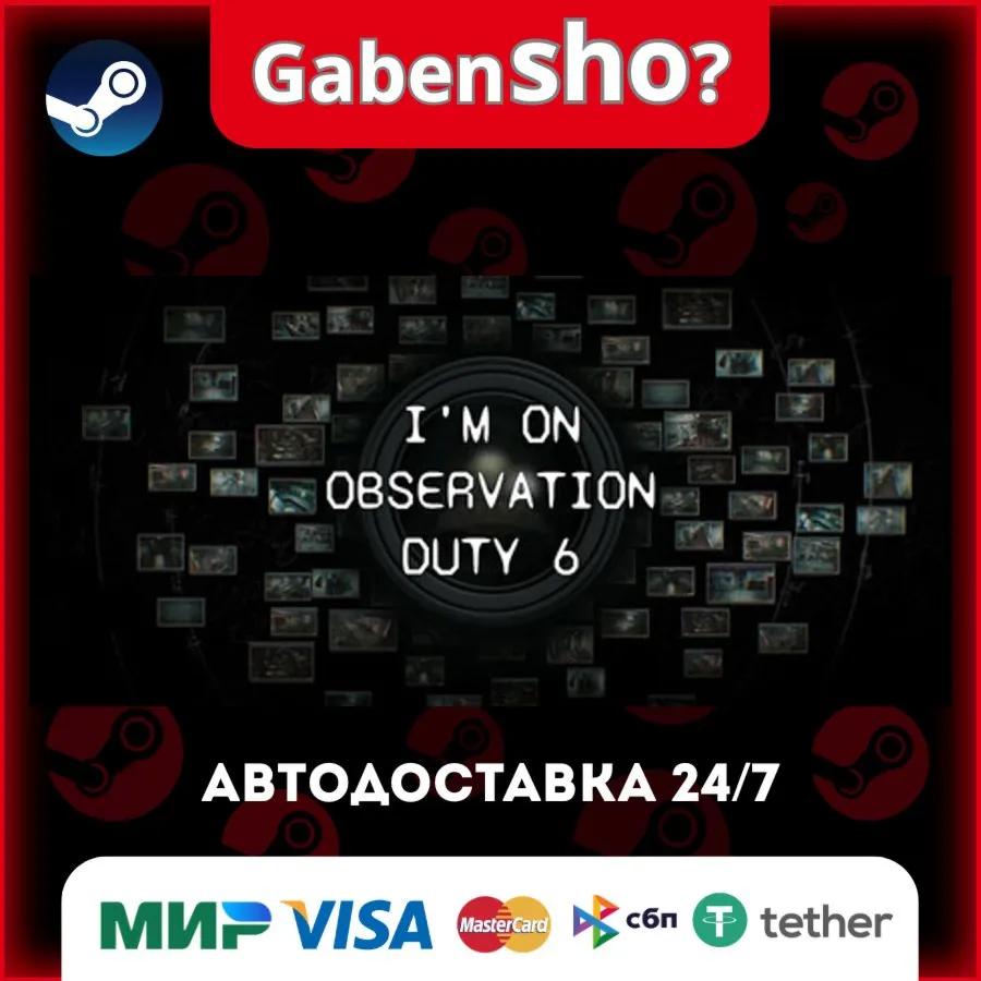 I'm on Observation Duty 6 СТИМ Steam Gift