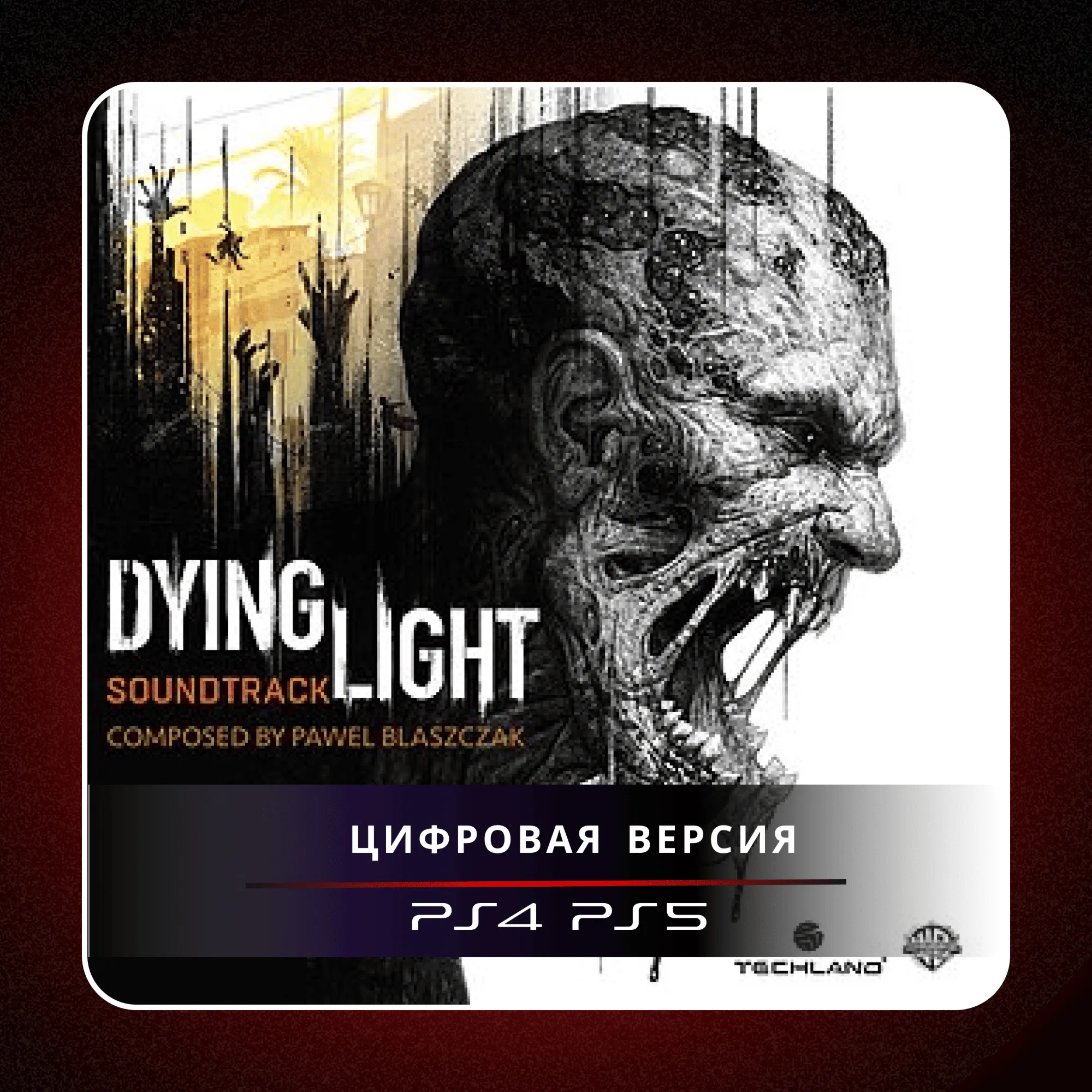  Dying Light  PS4 PS5 | П2/П3