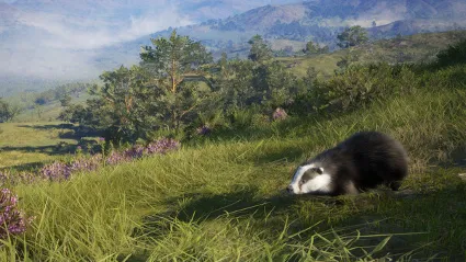 theHunter: Call of the Wild™ - Scotland Hunting Reserve ✅ STEAM GIFT AUTO ✅ RU+МИР