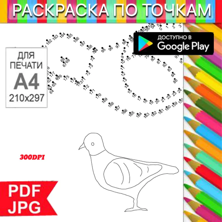 Голубь Раскраска По точкам Антистресс для распечатки на принтере и Android