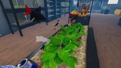 Aquarist - Asian Fish DLC - STEAM GIFT РОССИЯ
