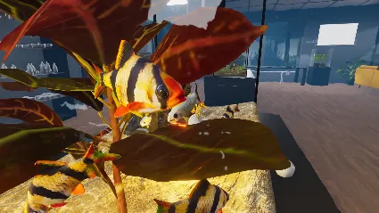 Aquarist - Asian Fish DLC - STEAM GIFT РОССИЯ