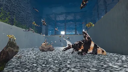 Aquarist - Asian Fish DLC - STEAM GIFT РОССИЯ