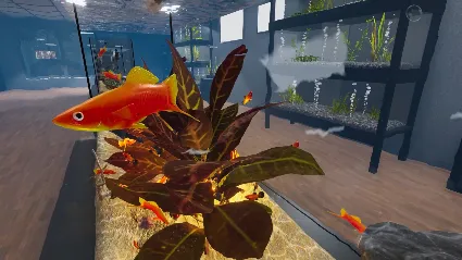 Aquarist - American Fish DLC - STEAM GIFT РОССИЯ