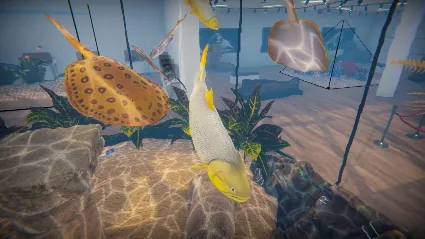 Aquarist - American Fish DLC - STEAM GIFT РОССИЯ