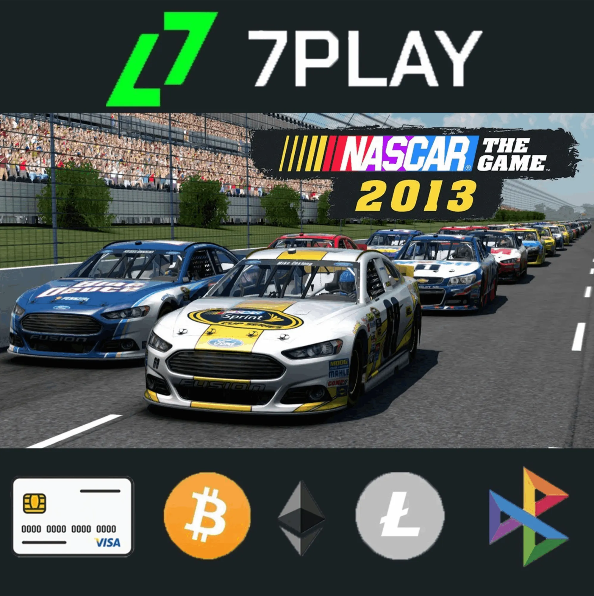 NASCAR The Game: 2013 - Оффлайн Steam [24/7]