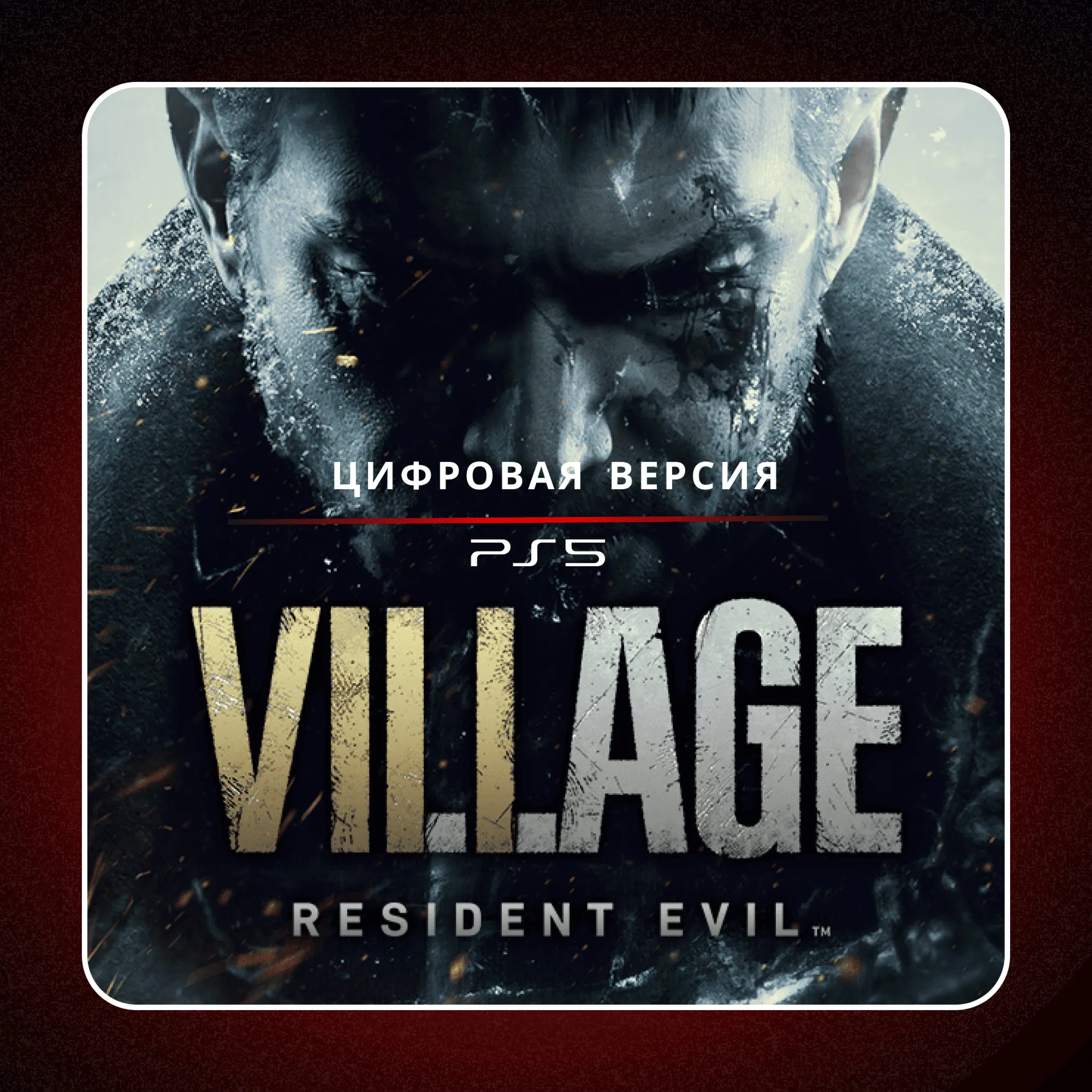  Resident Evil Village  PS4 PS5 | П2/П3