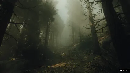 The Occultist * STEAM RU*KZ*UA*СНГ 🔥