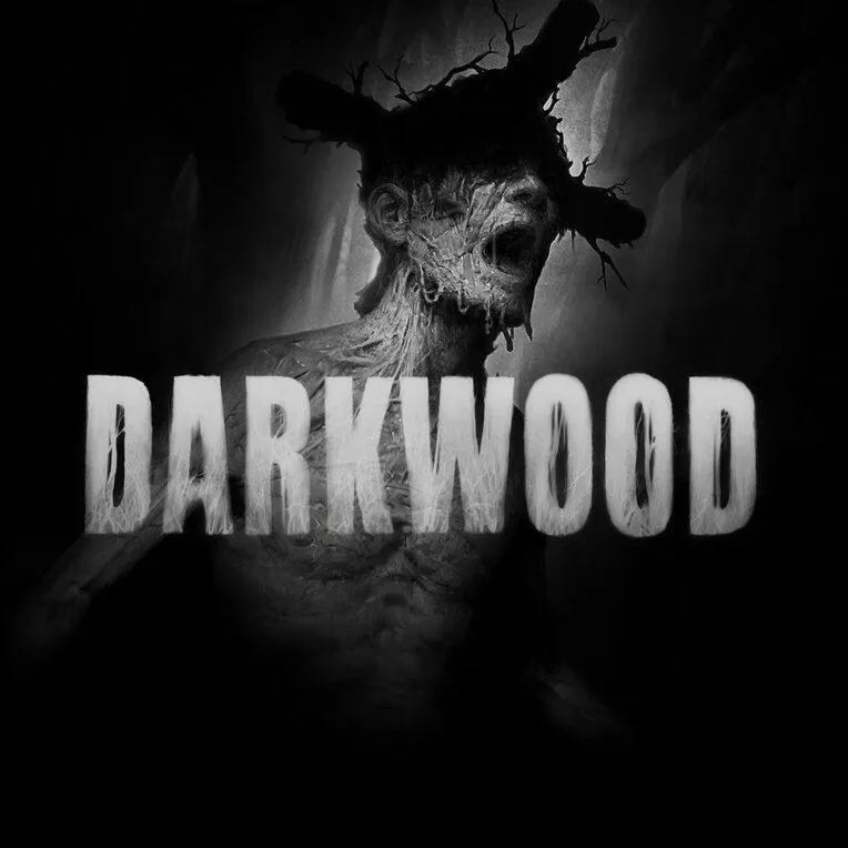 🎮Darkwood PS4 PS5  П2 П3🎮
