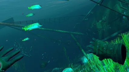 ️ВСЕ СТРАНЫ+РОССИЯ️ The Pirate: Republic of Nassau