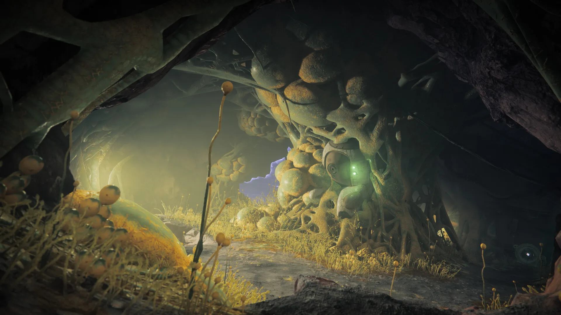 Destiny 2: Year of Prophecy Ultimate Edition (Steam key / RU+CIS)