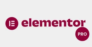 Elementor pro agency plan unlimited website