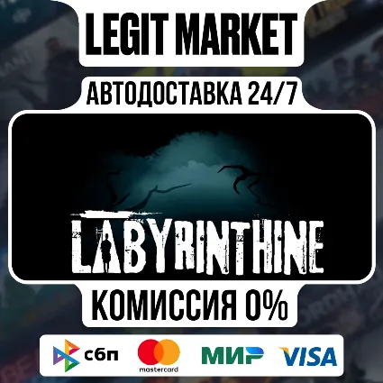 Labyrinthine / Steam АВТО / РУ + МИР