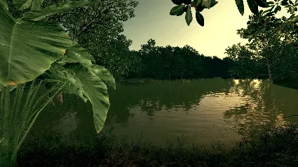 Ultimate Fishing Simulator - Amazon River DLC EU Steam КЛЮЧ
