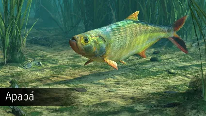 Ultimate Fishing Simulator - Amazon River DLC EU Steam КЛЮЧ