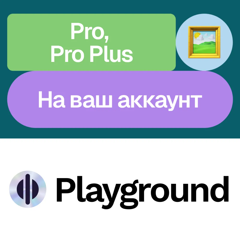 ️ Playground Ai | Pro, Plus | Месяц, год | Без входа