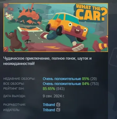 WHAT THE CAR? АВТОДОСТАВКА STEAM РОССИЯ