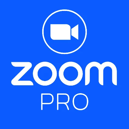 Zoom Workplace Pro - План на 1 месяц