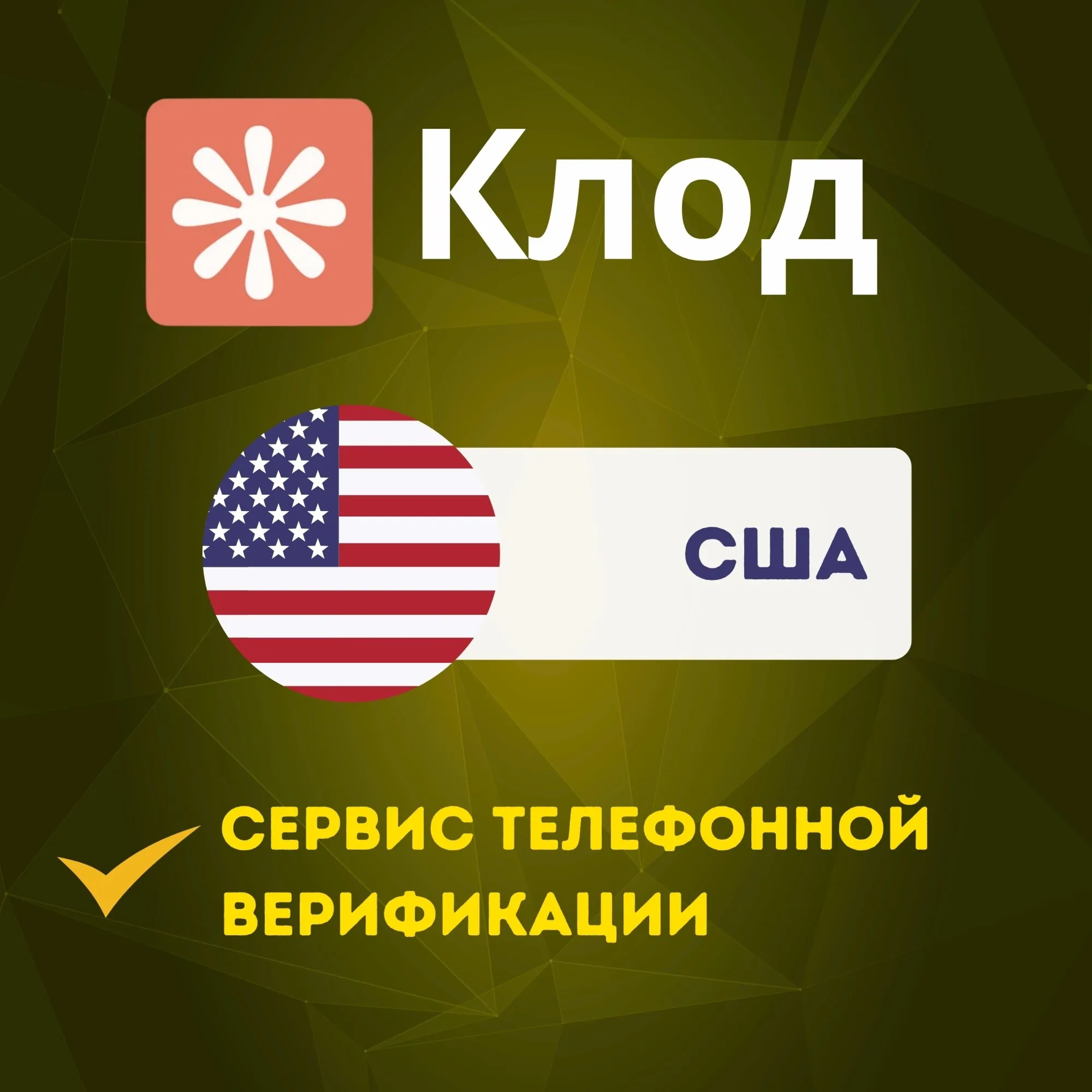 США - PHONE VERIFICATION SERVICE CLAUDE.COM