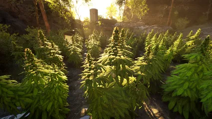 Weed Shop 420 - STEAM GIFT РОССИЯ