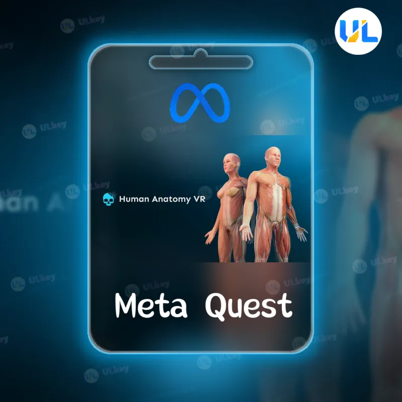 Human Anatomy VR для Meta Quest / Oculus Quest | Услуга активации