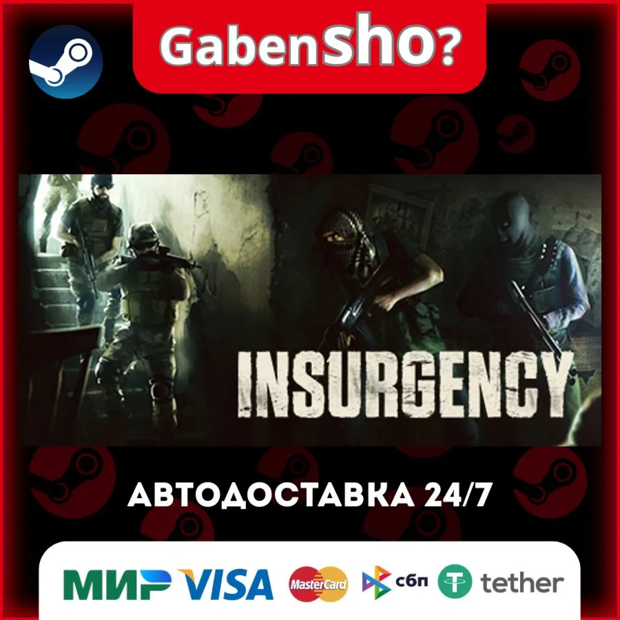 Insurgency Steam Gift