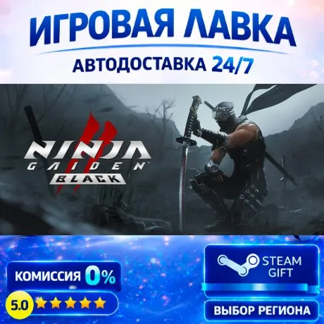 NINJA GAIDEN 2 Black | Steam Gift | АВТО