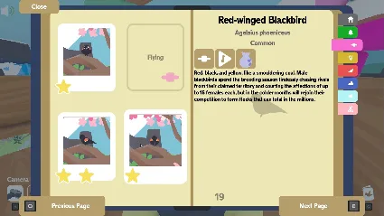 Flock Around - STEAM GIFT РОССИЯ