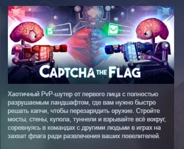 Captcha The Flag АВТОДОСТАВКА STEAM РОССИЯ