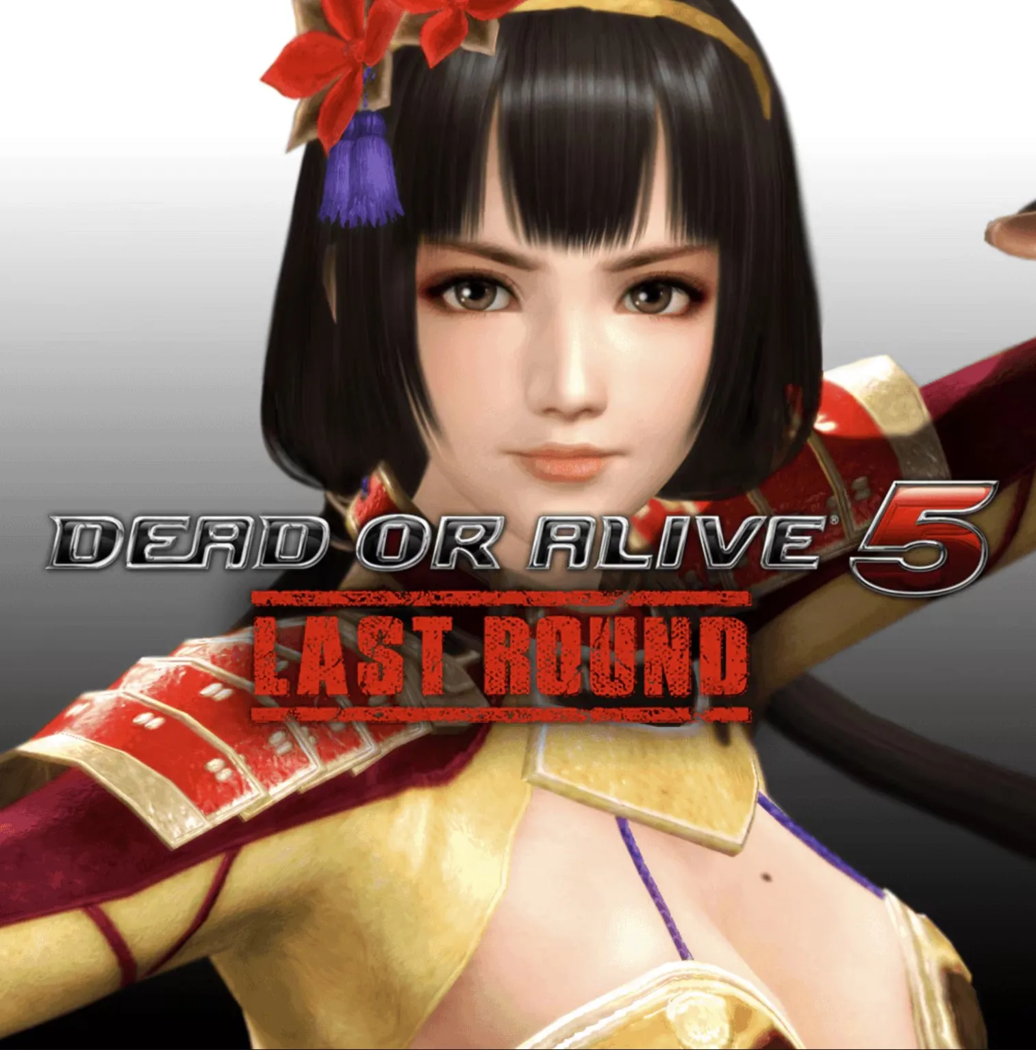 DOA5LR Character: Naotora Ii (Steam Gift Россия)