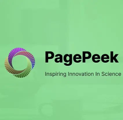 Pagepeek ai Starter/Premium подписка 1 месяц