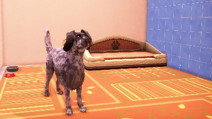 Animal Shelter 2 - Hunting Dogs Pack DLC - STEAM RU